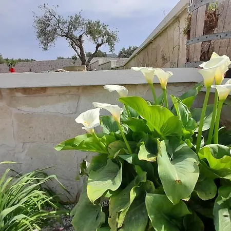 Apartamento Georgioupoli Studios